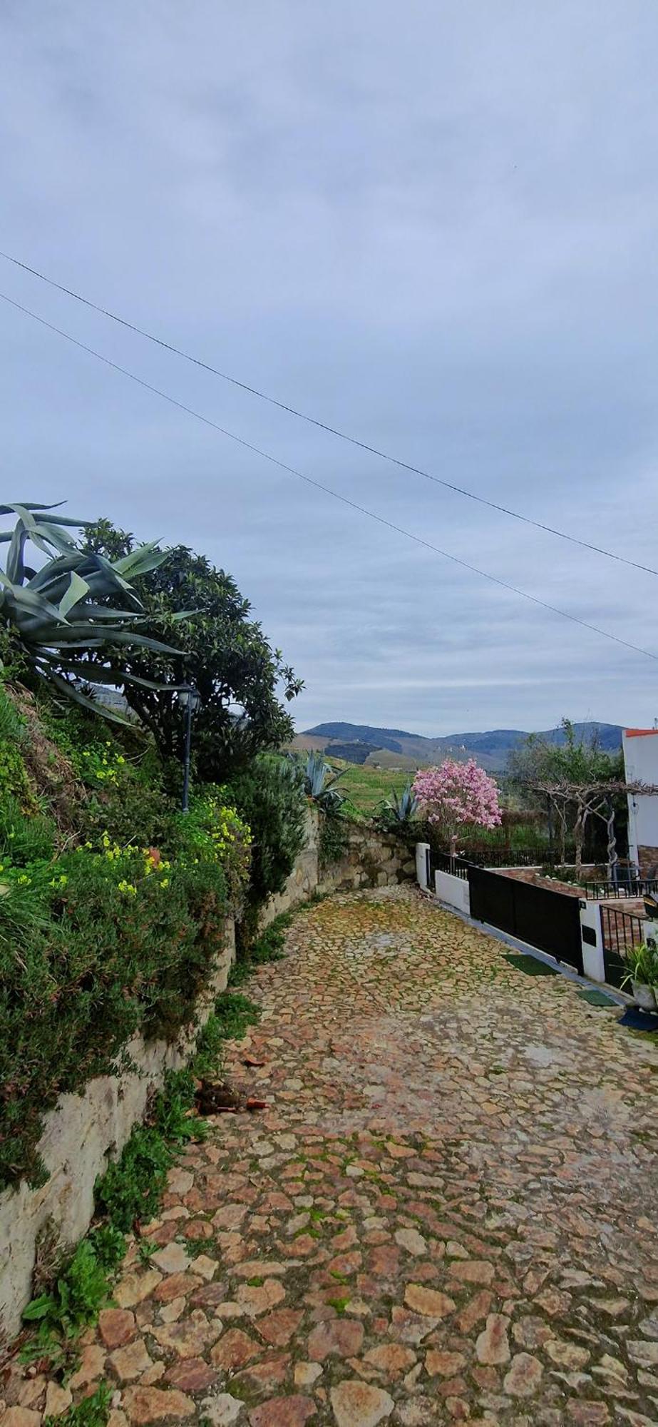 Casa Rodrigues Villa Pinhão Kültér fotó