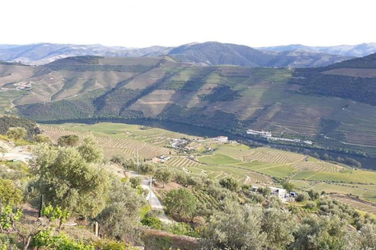 Casa Rodrigues Villa Pinhão Kültér fotó