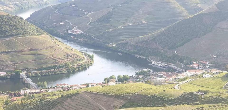 Casa Rodrigues Villa Pinhão Kültér fotó